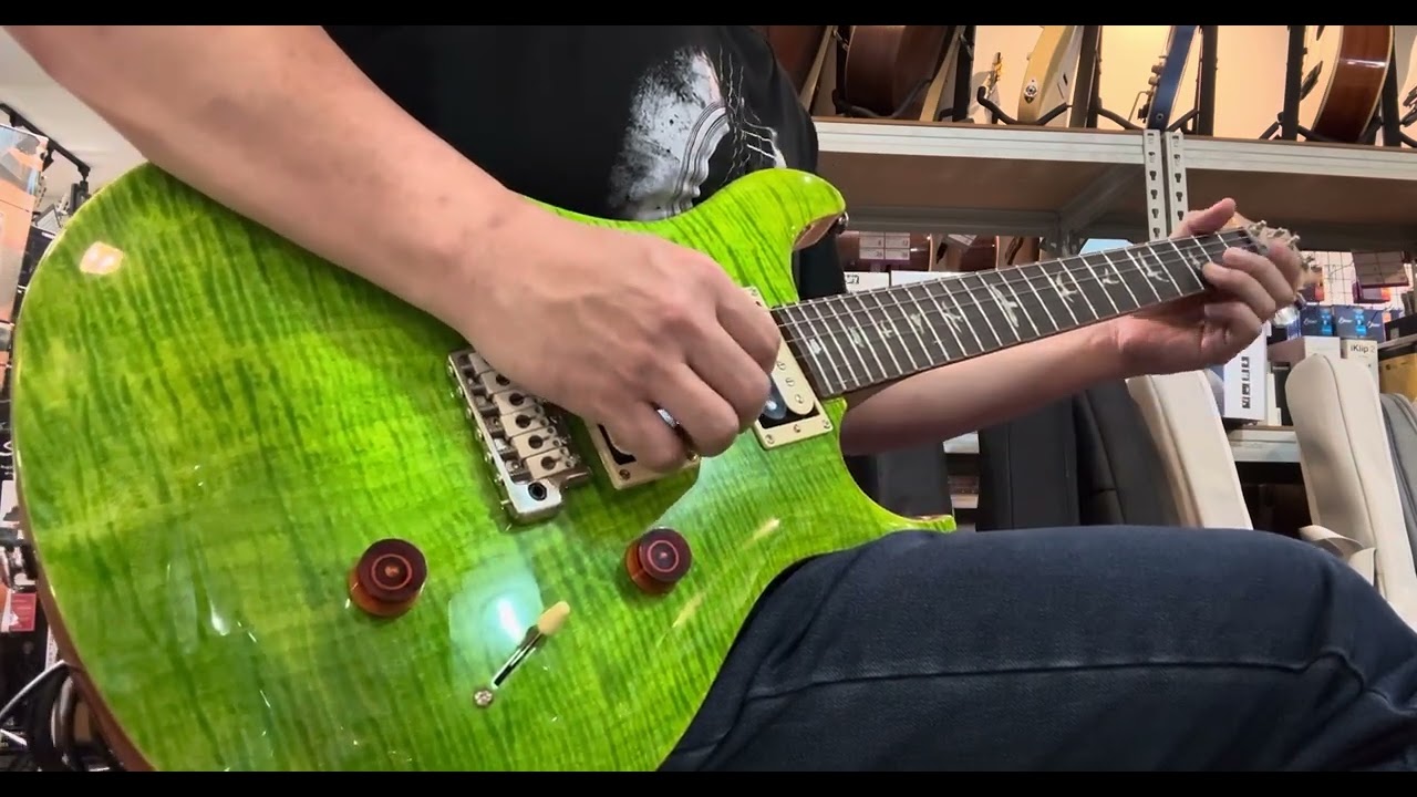 ￼PRS SE Custom 24 Electric Guitar w/Bag, Eriza Verde - Clean