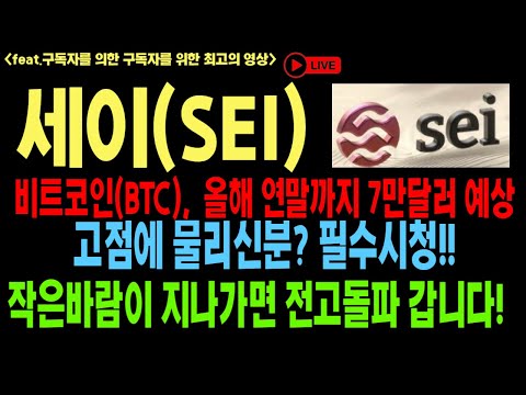   세이 세이코인 세이코인전망 SEI BTC 코인전망 비트코인 이더리움 도지코인