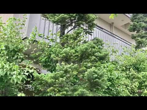 エンタメール 松本めいてつショーホール 松本市 の周辺施設動画一覧