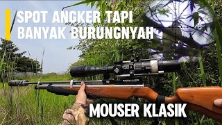 HUNTING ‼️ WITH THE CLASSIC MAUSER THAT SOUNDS LIKE SUPER SONIC..!!