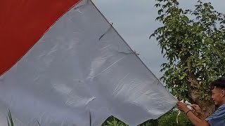 VIRAL!!!story layang'membawa bendera merah putih terbesar waktu 17agustus