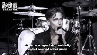 (HD) Mooi - Maarten van Roozendaal  - Bosconcert 'MOOI' Augustus 2011