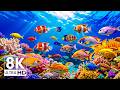 The Dreamlike Aquarium World — Marvel at Colorful Fish in 8K UHD Relaxation