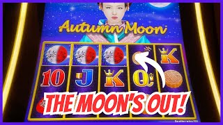 🔵Can I Beat AUTUMN MOON With $100🎰 Dragon Link Slots at The Fountaine Bleu in Las Vegas!