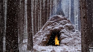 Caught in a Snow Storm - Solo bushcraft, cooking steak on flat rock, camping during heavy snow