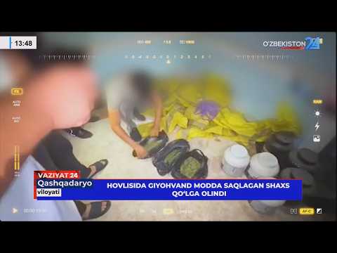 Hovlisida giyohvand modda salqagan shaxs qo'lga olindi (Qashqadaryo)
