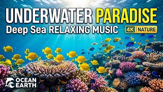 Ocean Restful Nights 🌅 • Peaceful Relaxation Music for Sleep 😌 • Soft Wave Echo and Serenity 🌊
