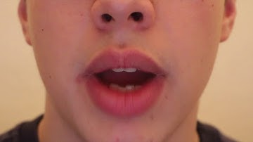 The Bridge - Lip Sync [test 2]