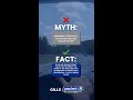 Myth vs. Fact: Plug or injected sealant tire patch repairs