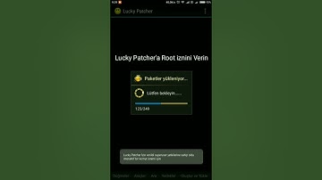 ROEHSOFT RAM EXPANDER License Check Failed. License Check Removal