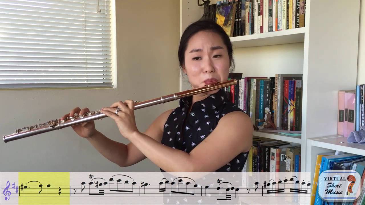Flute Lesson How to play Mozart's Flute Concerto No. 2 K 314 YouTube