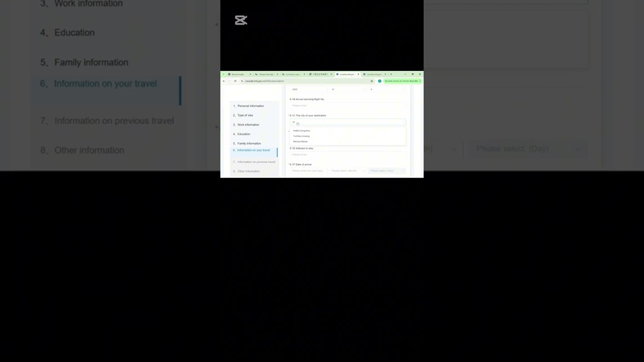 ملئ استمارة فيزا الصين للجزائريين 🇨🇳🇨🇳🇩🇿🇩🇿2025/2026