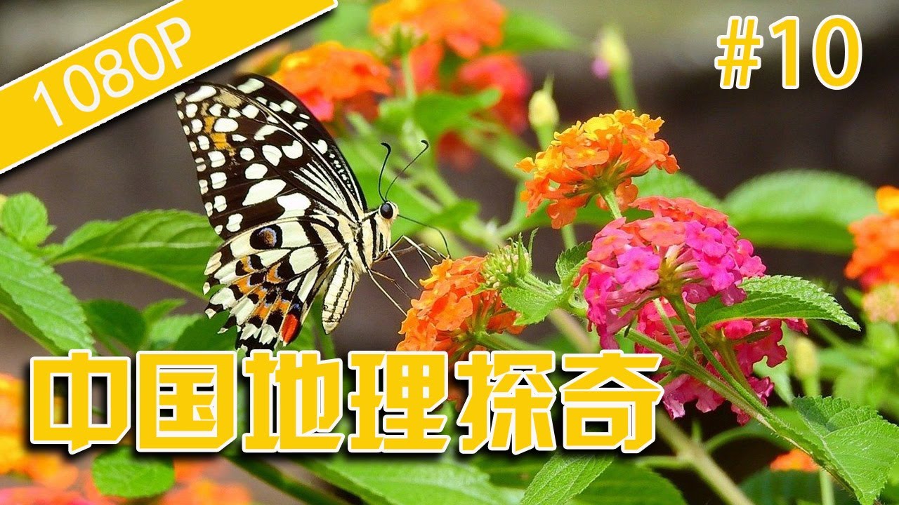 china southern airlines 中国地理探奇10 蝴蝶谷的秘密