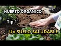 Tip 1 para un huerto ecológico y sustentable - Descubre el Secreto de un Suelo Saludable