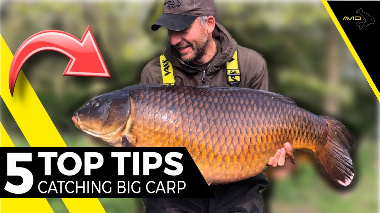 CATCH BIG CARP  Simon Crow's 5 Tips to catch Big Carp (Carp Fishing) 