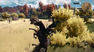 The Witcher 3: Wild Hunt - funny bug witch roach