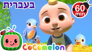 ציפור קטנטנה | שירי ערש לתינוקות | CoComelon - קוקומלון בעברית