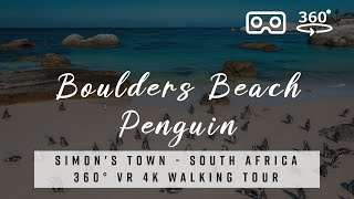 Pinguin Boulders Beach, Cape Town  South Africa  360° VR 4K Tour with best of Deep House Music