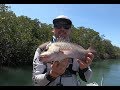 Mackay - Mangrove Jack & Barra Session