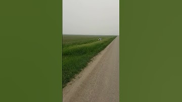 cobalt jumps approach #awsome #car #chevy #jump #redneck #sendit #cobalt #danger #alightmotion #pop