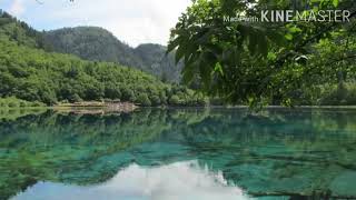 سورةالإنفطار من القرآن الكريم للقارئء:يحيى حوى