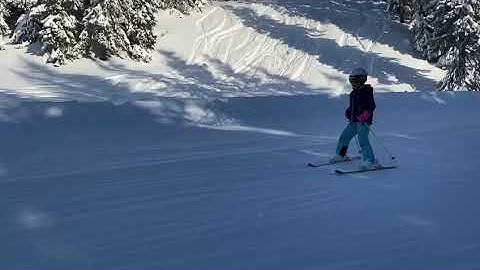 8BE508AA 0D47 40C2 8E7F AA97DFFA9768