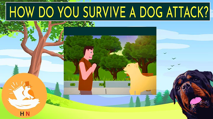 How do you survive a dog attack?