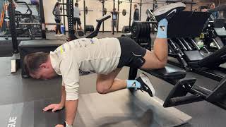 Single Leg Hip Flexor Plank