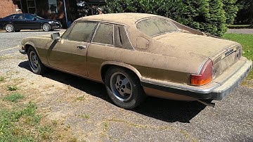My Own Barn Find !  85 Jaguar XJS V12 . She purrs like a kitten !   Might be for sale...