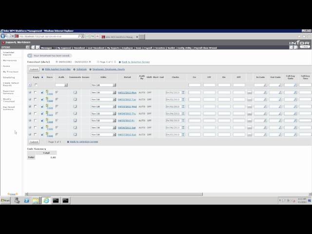 Workbrain Balances and Accruals 7 - YouTube