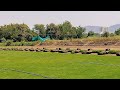 Top 10 Lawn Grass Supplier in India ! Top 10 Lawn Grass Dealer in India