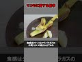 マコモに関する雑学 #マコモ #マコモ湯 #お風呂
