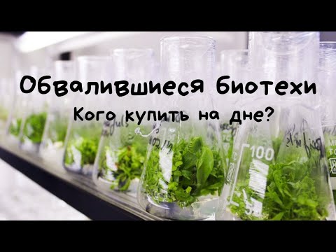 Обвалившиеся биотехи. Кого купить на дне?