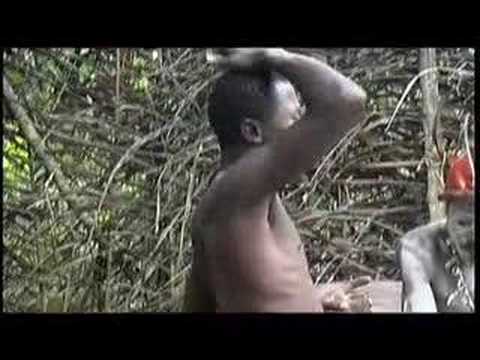 Ranker Video