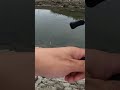 ルアーを魚の口元に無着水音キャストしたら…