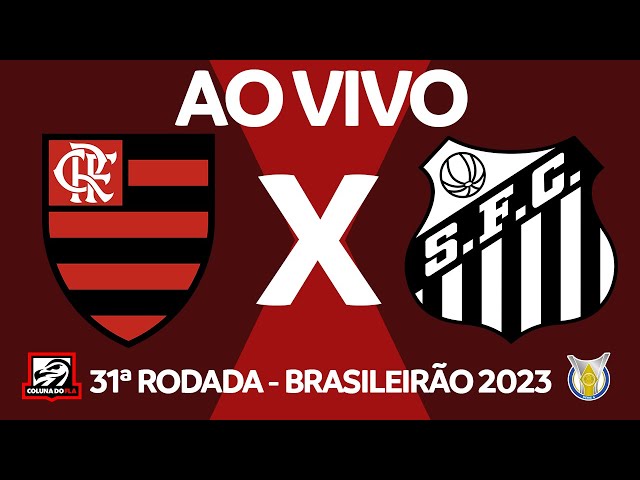 Flamengo x Santos AO VIVO  Campeonato Brasileiro 