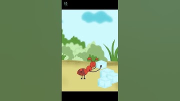 Why do Ants Walk in a Straight Line? #shorts