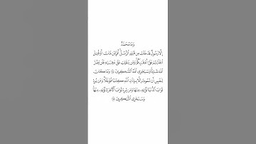 صلاة التراويح ليلة ٥ رمضان ١٤٤٥هـ سورة آل عمران الآيات من ١٤٤ إلى ١٤٥ الشيخ ياسر الدوسري