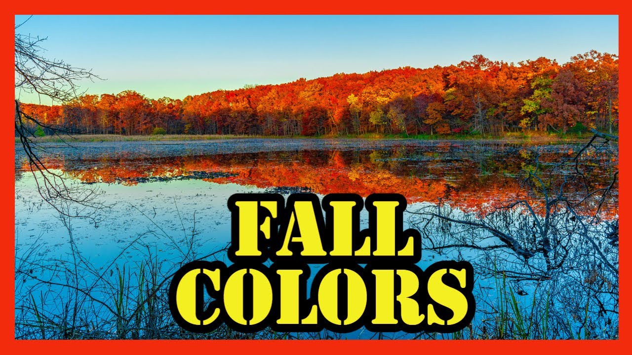 FALL COLORS: কানাডায় হেমন্ত কালে প্রকৃতির রং বৈচিত্র । - YouTube