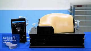 CAE Healthcare COVID-19 Ultrasound Training Suite