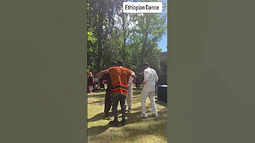 Travel Meme Ethiopia Ethiopian Ethiopianmusic Reels Fun Viral Viralshorts Ytshorts 