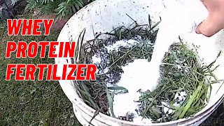 Peyni̇r Suyundan Gübre Yap I Peyniraltı Suyu Gübresi