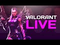 Live valorant  ranked  rush les 400 abonns