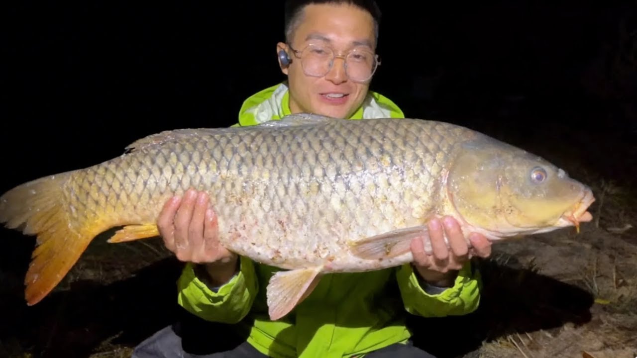 探钓水库垂钓巨物！夜钓收获百斤大板鲫，红烧起来真是美味无比！【小宋野钓】