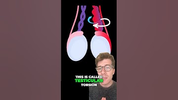 Testicular torsion - 5 Symptoms #shorts