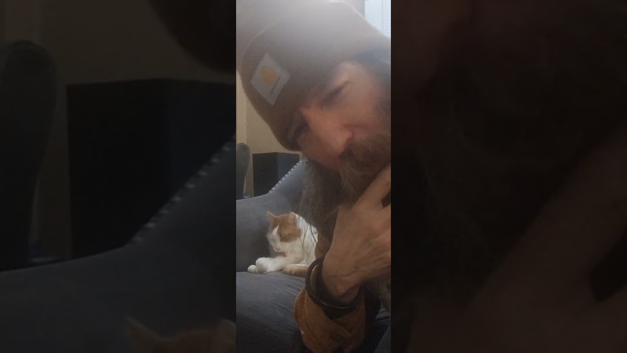 This Is My Cat 253 and I on February 13, 2026