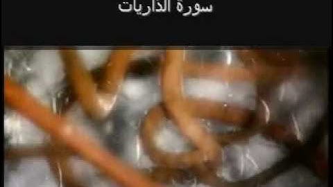 Surat Adh-Dhariyat (The Winnowing Winds) سورة الذاريات‎