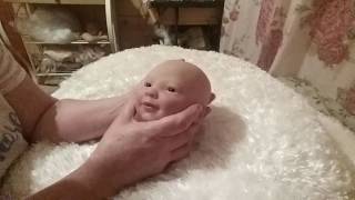 MAPPING A REBORN DOLLS HEAD FOR ROOTING HAIR