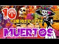 ¿por qué se celebra? 10 curiosidades sobre el día de muertos