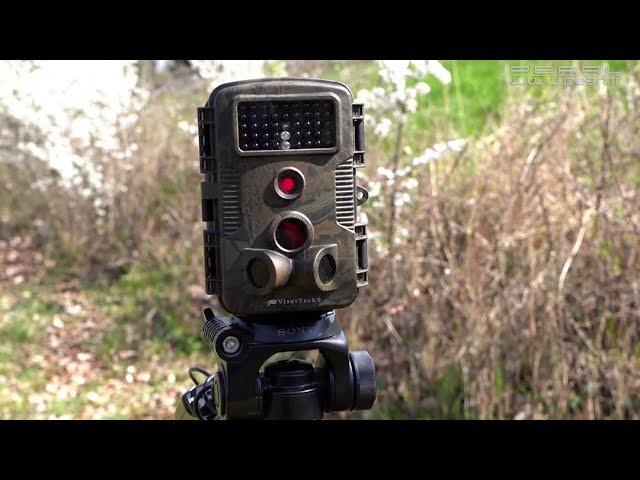 Caméra nature Full HD avec 3 détecteurs de mouvement PIR - Filmer les  animaux [PEARLTV.FR] - YouTube